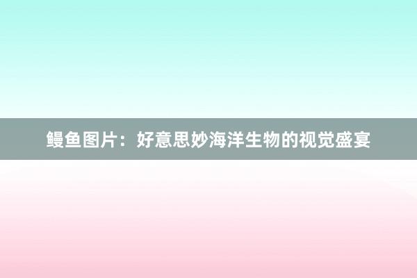 鳗鱼图片：好意思妙海洋生物的视觉盛宴